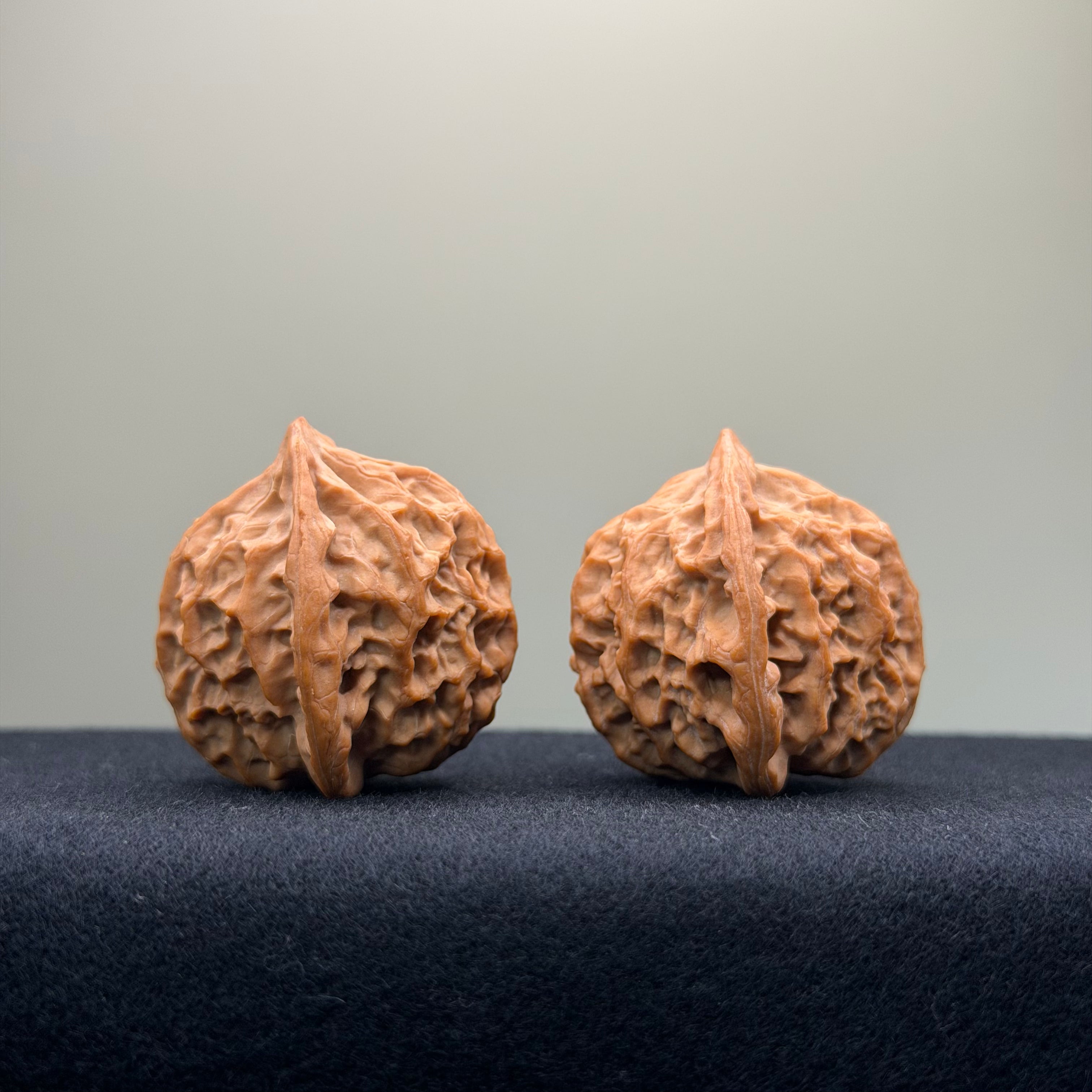 Taurus Wenwan Walnut · 35mm · Natural · Select Ritual