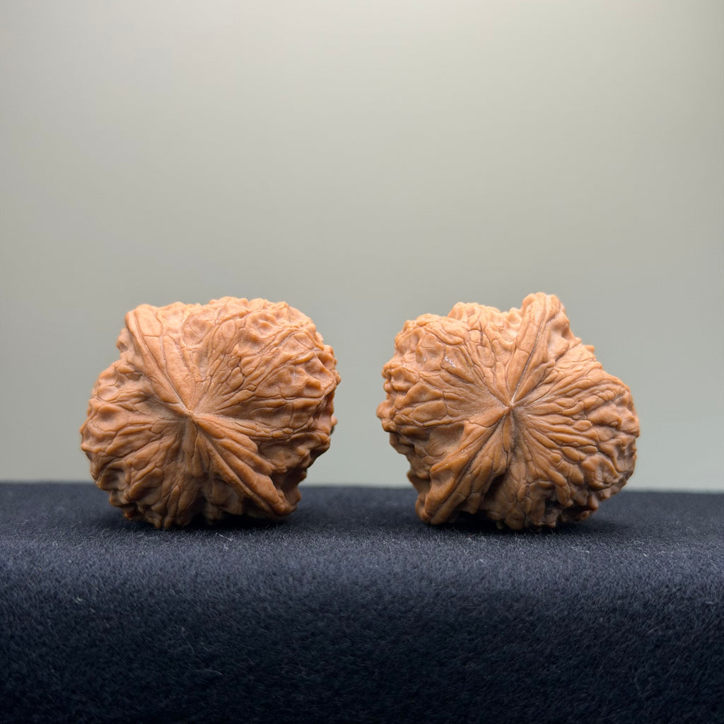Stone Pier Wenwan Walnut · 37mm · Natural · Select Ritual