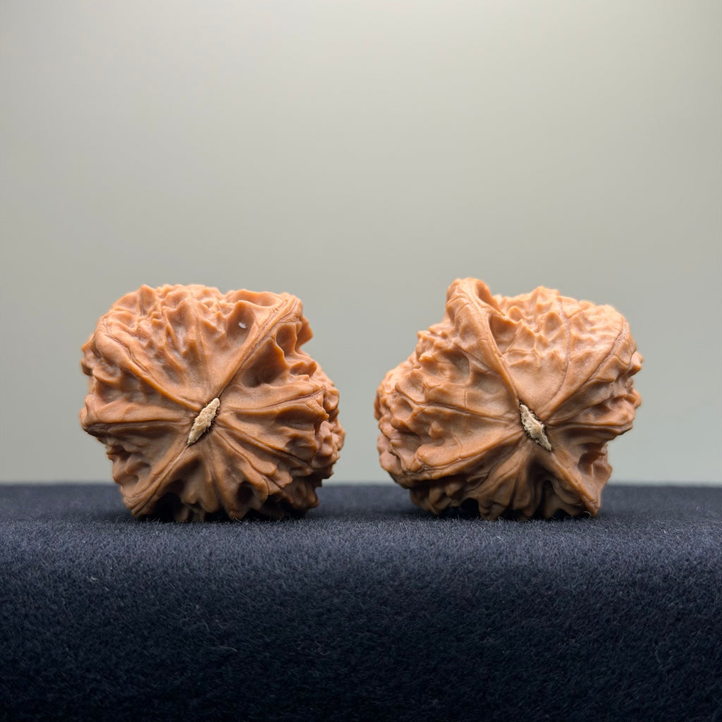 Stone Pier Wenwan Walnut · 37mm · Natural · Select Ritual