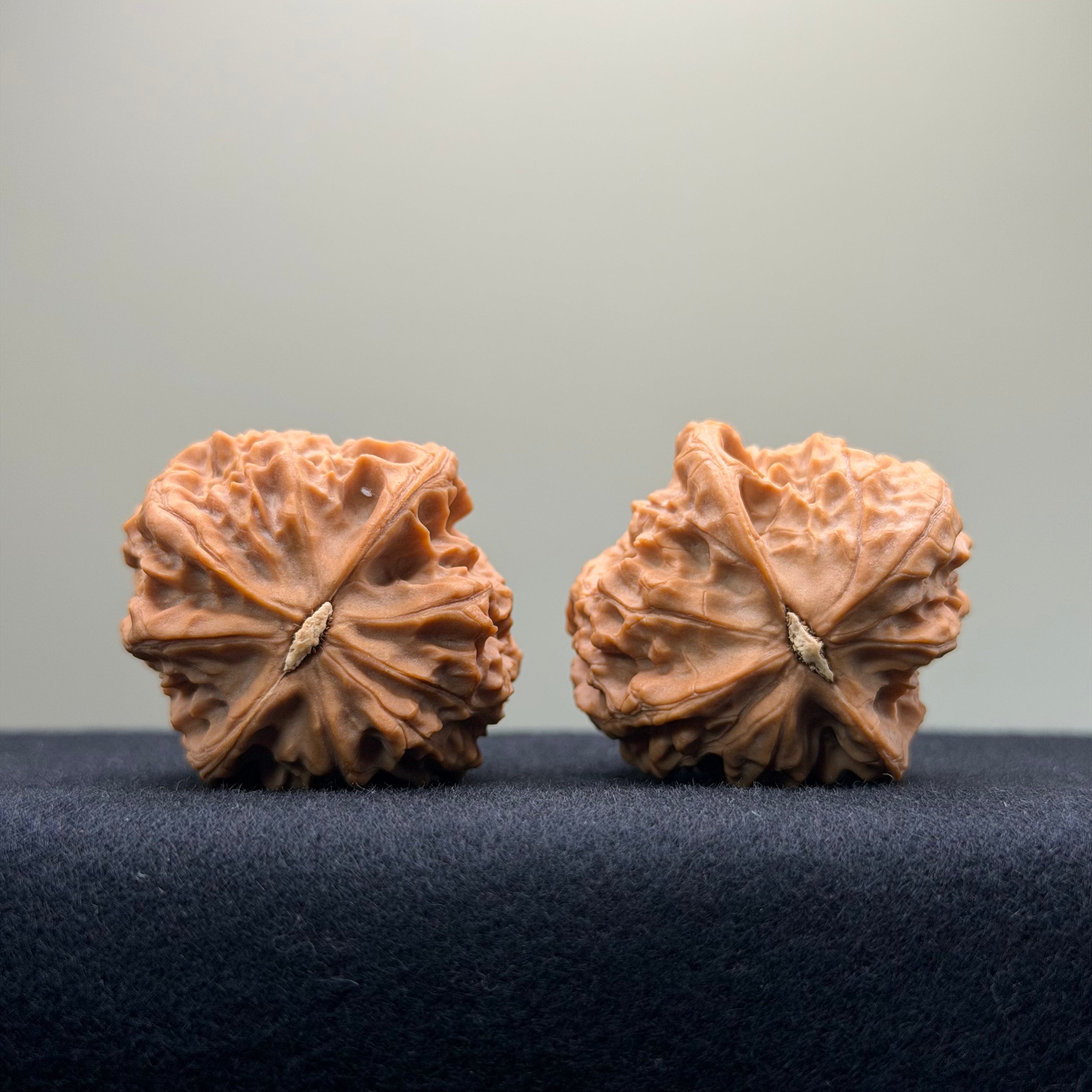 Stone Pier Wenwan Walnut · 37mm · Natural · Select Ritual
