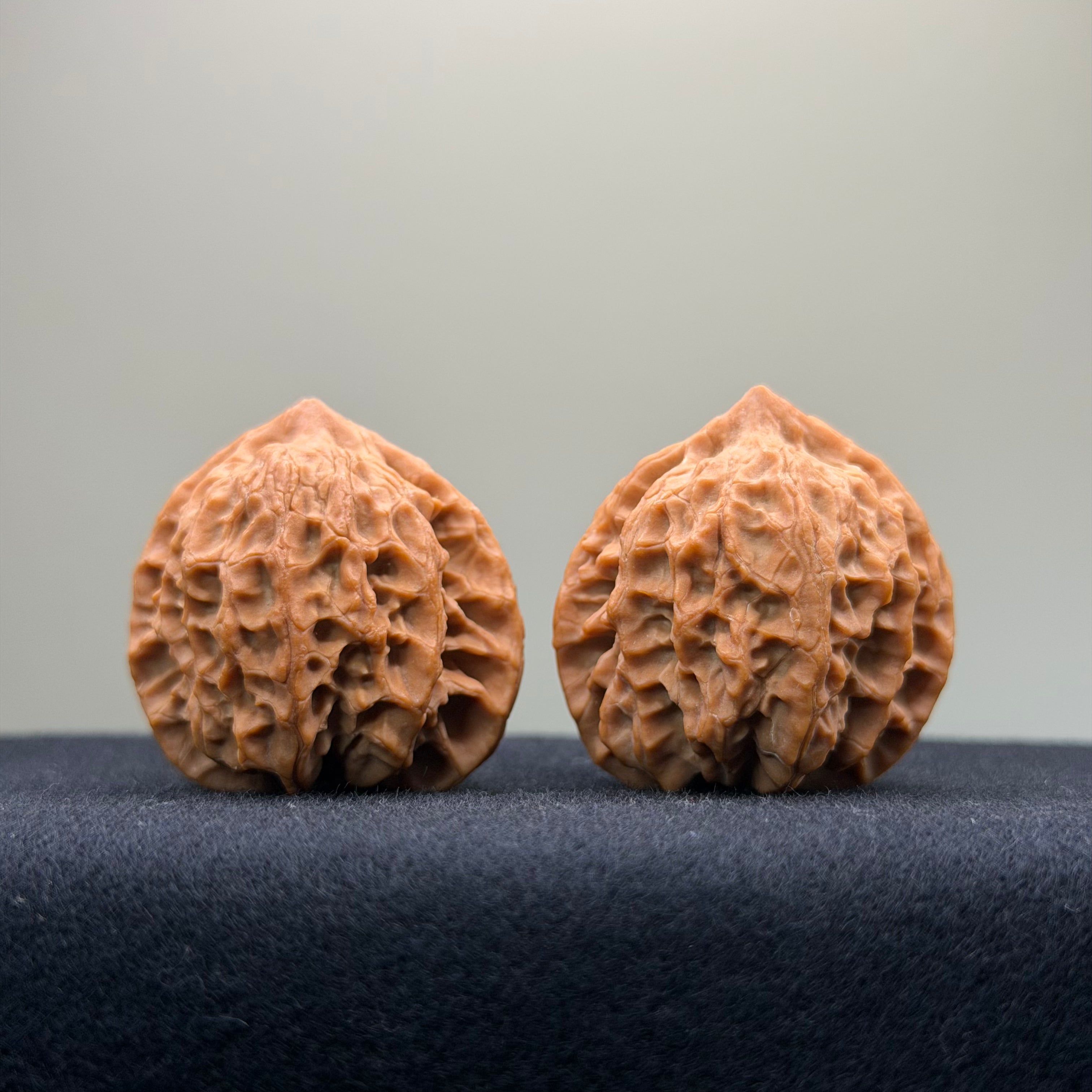 Fire Kirin Wenwan Walnut · 35mm · Natural · Select Ritual