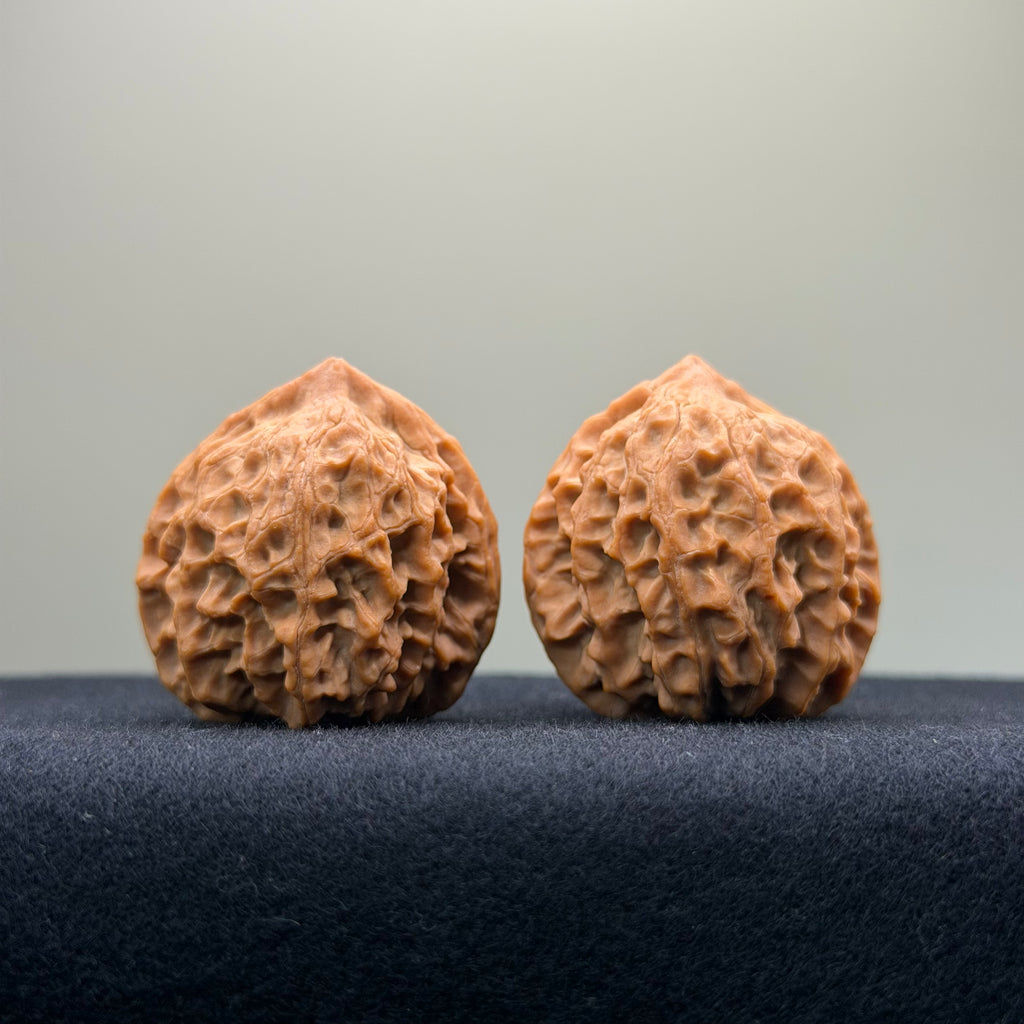 Fire Kirin Wenwan Walnut · 35mm · Natural · Select Ritual