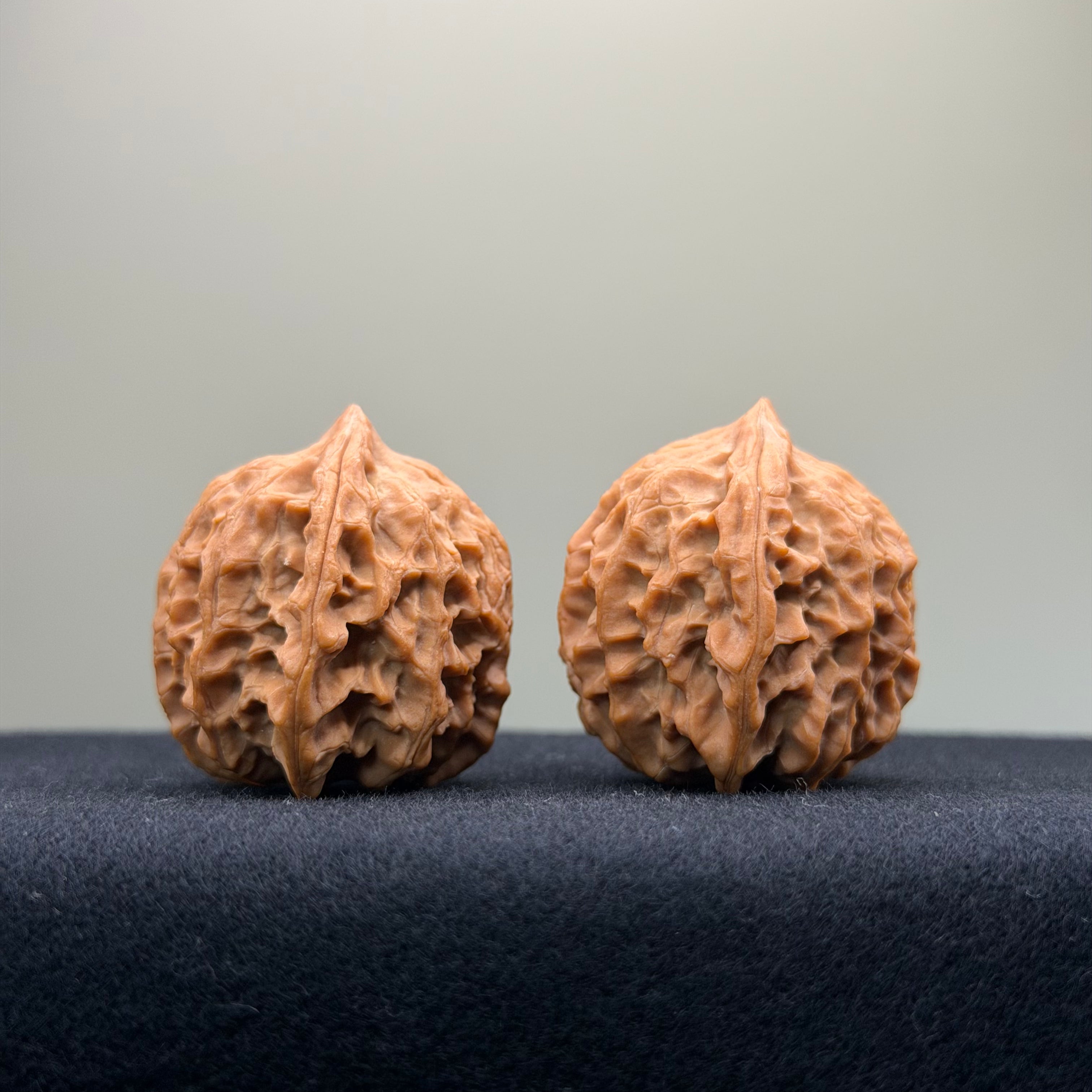 Fire Kirin Wenwan Walnut · 35mm · Natural · Select Ritual