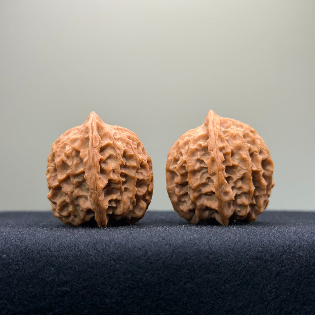 Fire Kirin Wenwan Walnut · 35mm · Natural · Select Ritual