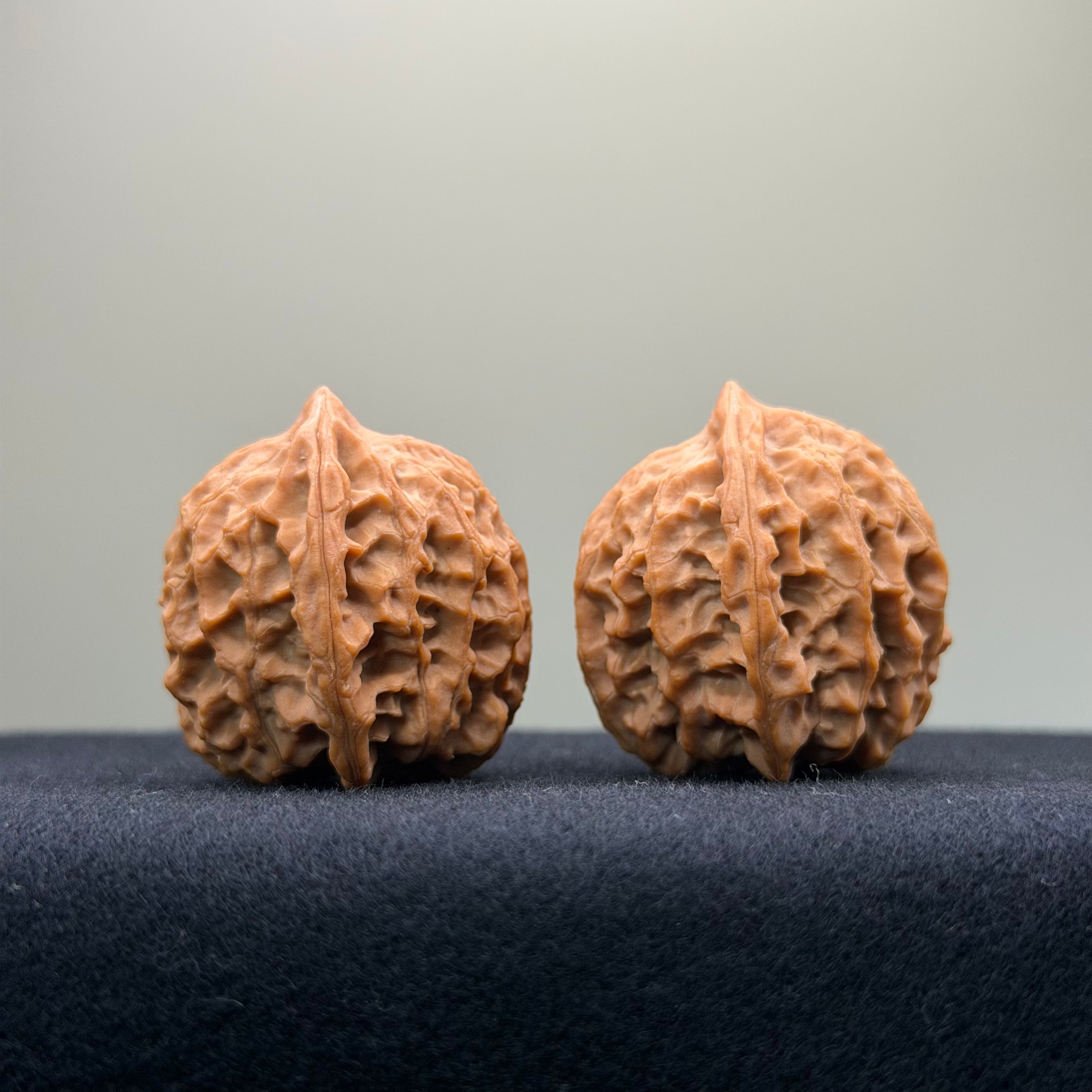 Fire Kirin Wenwan Walnut · 35mm · Natural · Select Ritual