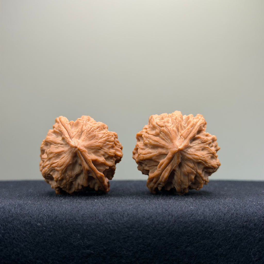 Fire Kirin Wenwan Walnut · 35mm · Natural · Select Ritual