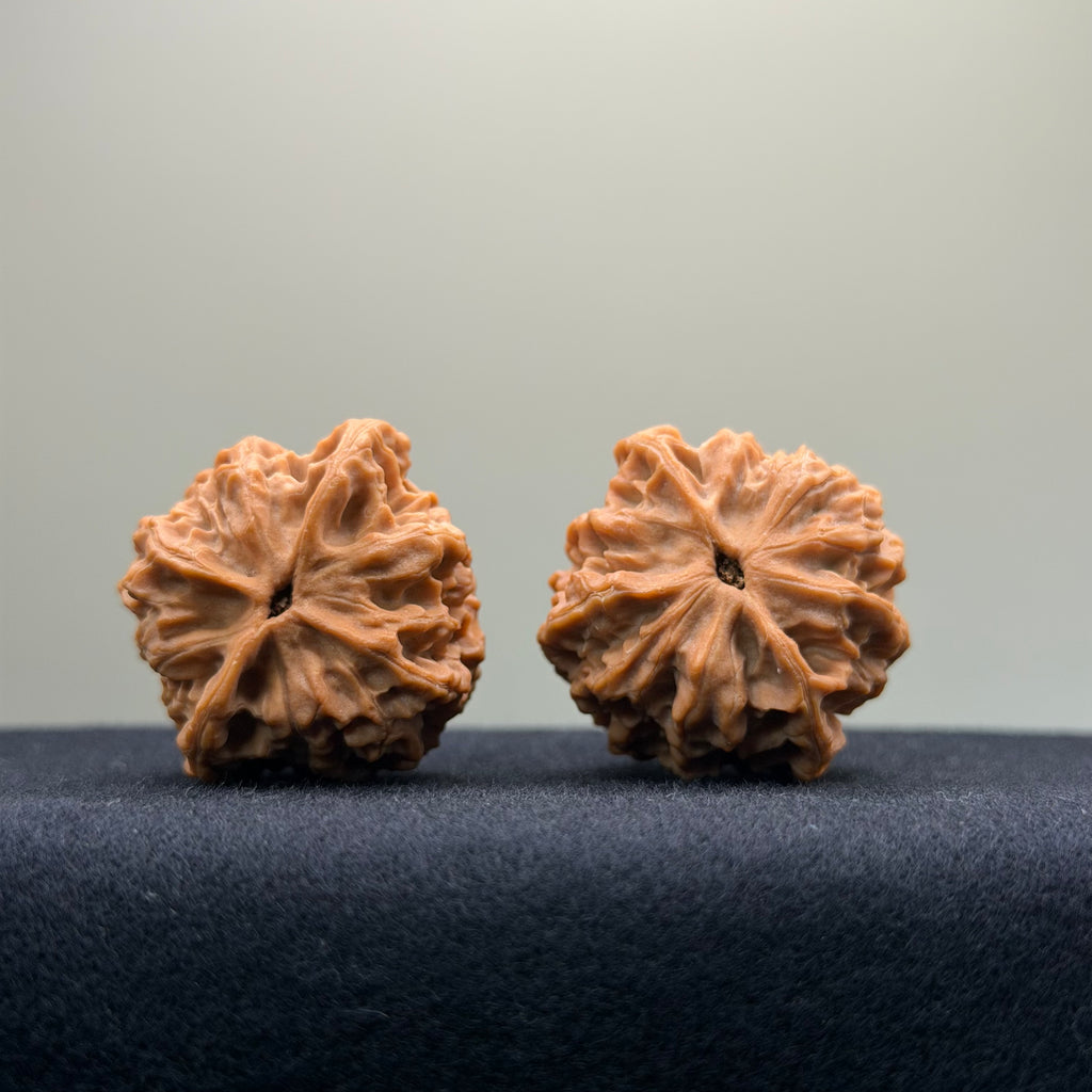 Fire Kirin Wenwan Walnut · 35mm · Natural · Select Ritual