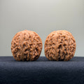 Kirin Pillow Wenwan Walnut · 37mm · Natural · Select Ritual