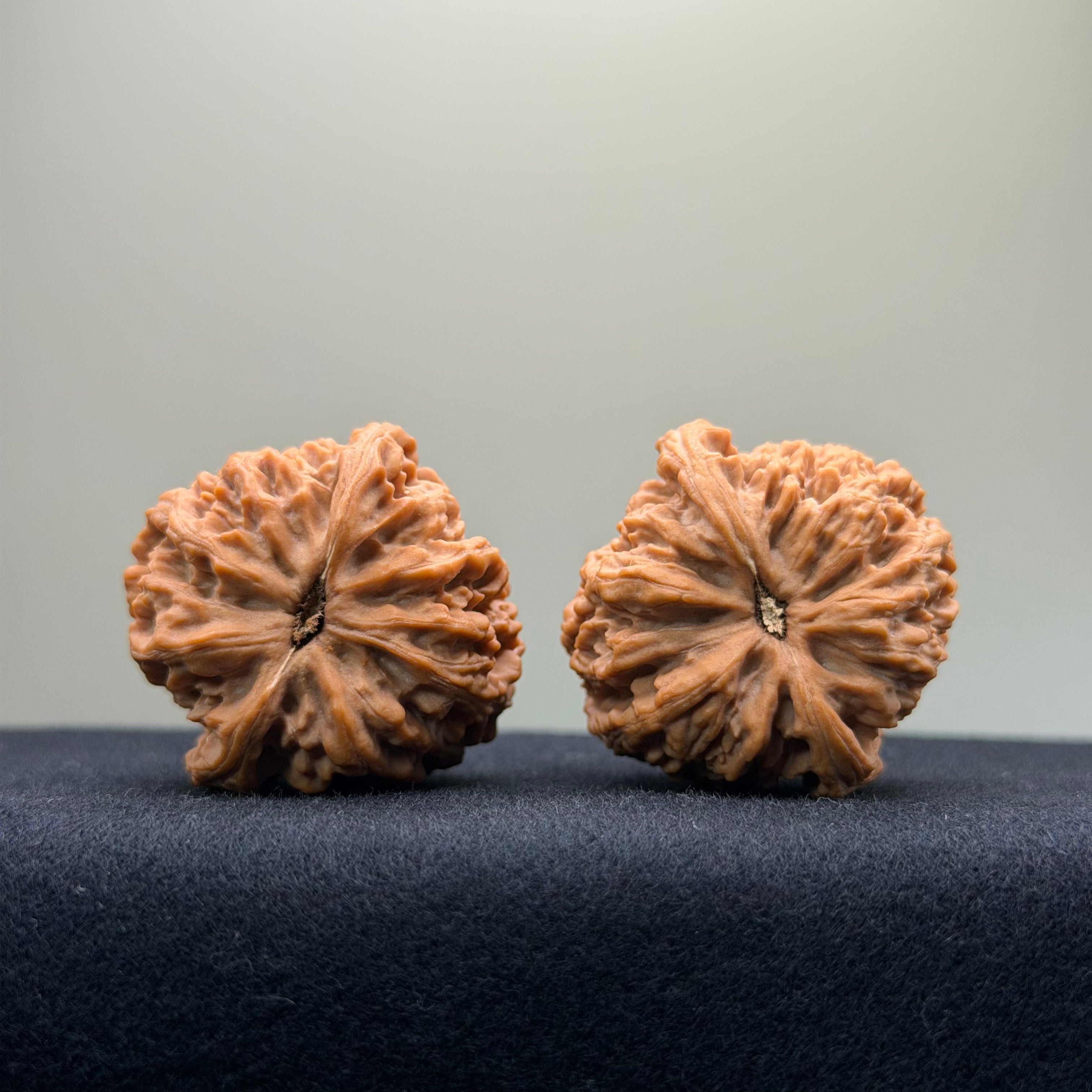 Kirin Pillow Wenwan Walnut · 37mm · Natural · Select Ritual