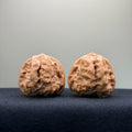 Toad Head Wenwan Walnut · 37mm · Premium Ritual