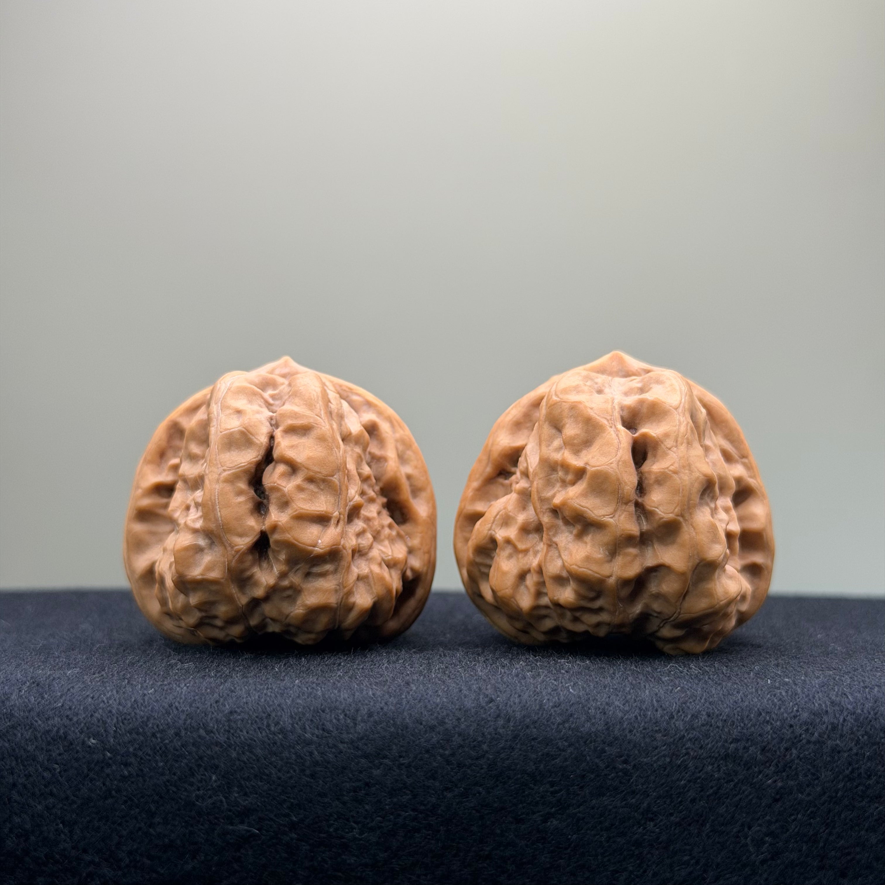 Toad Head Wenwan Walnut · 37mm · Premium Ritual