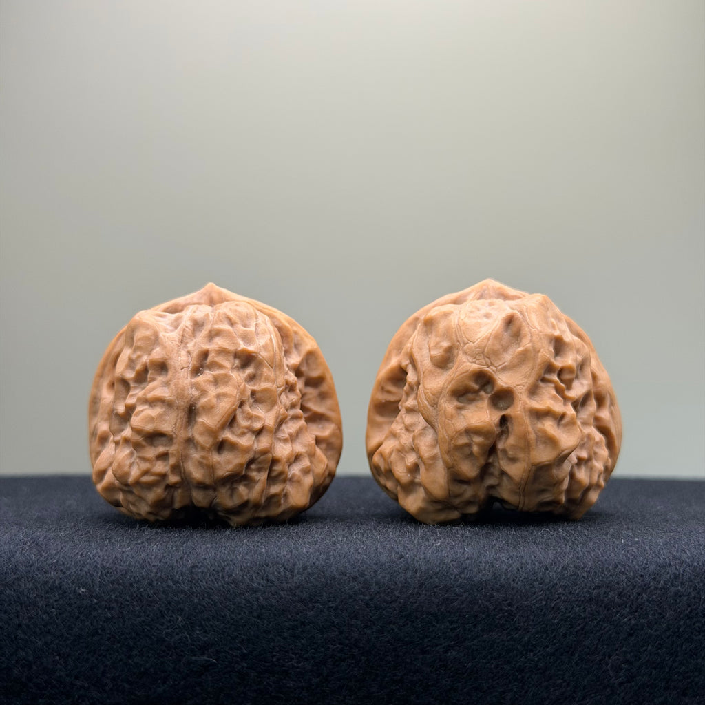 Toad Head Wenwan Walnut · 37mm · Premium Ritual