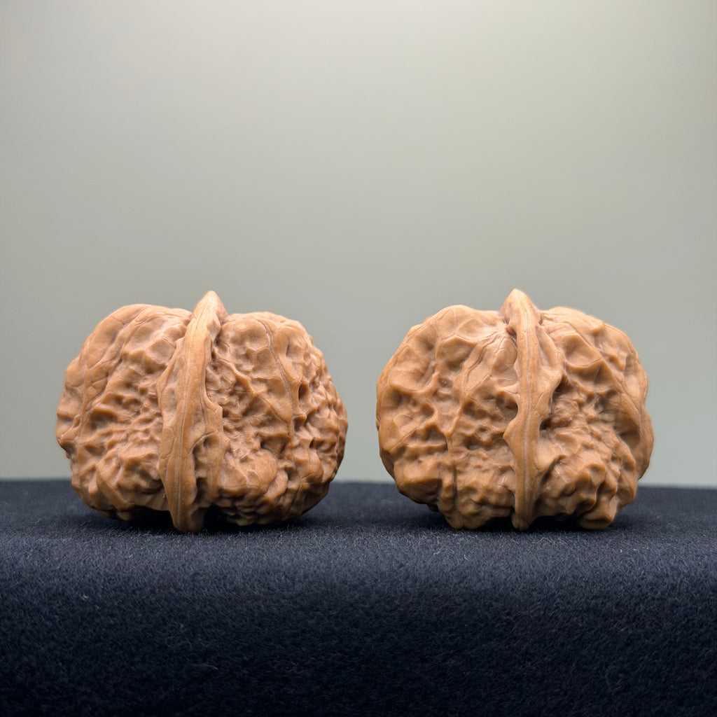 Toad Head Wenwan Walnut · 37mm · Premium Ritual