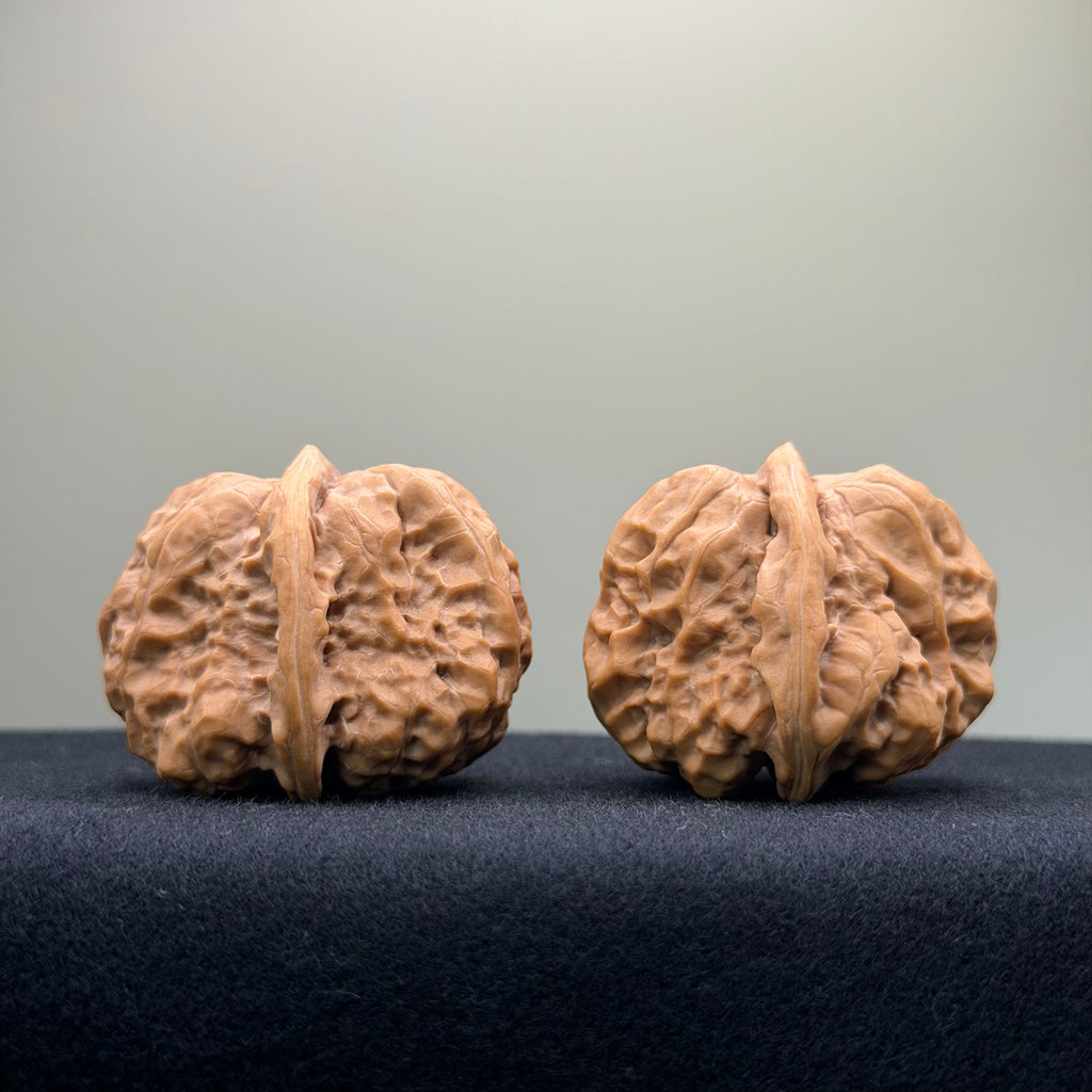 Toad Head Wenwan Walnut · 37mm · Premium Ritual