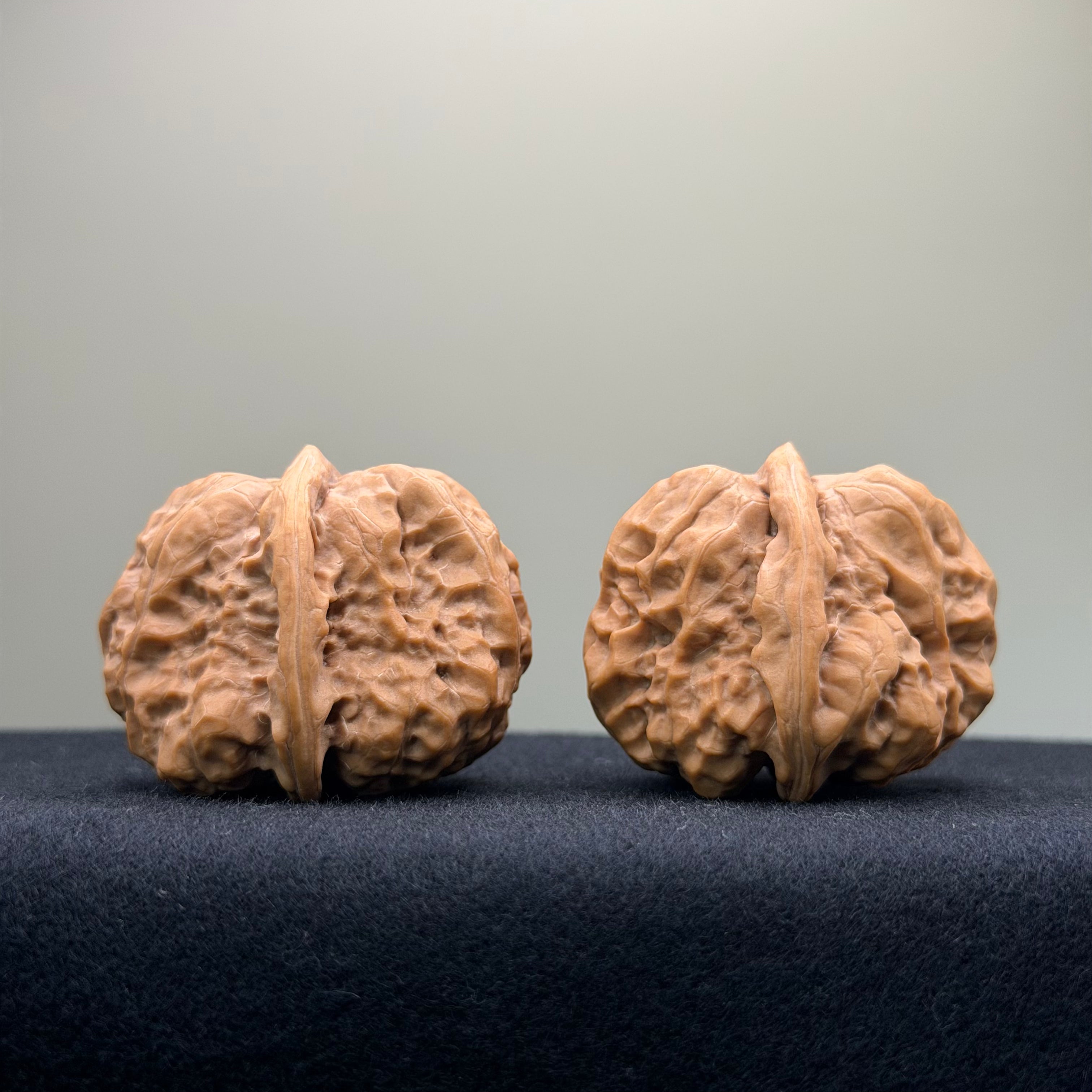 Toad Head Wenwan Walnut · 37mm · Premium Ritual