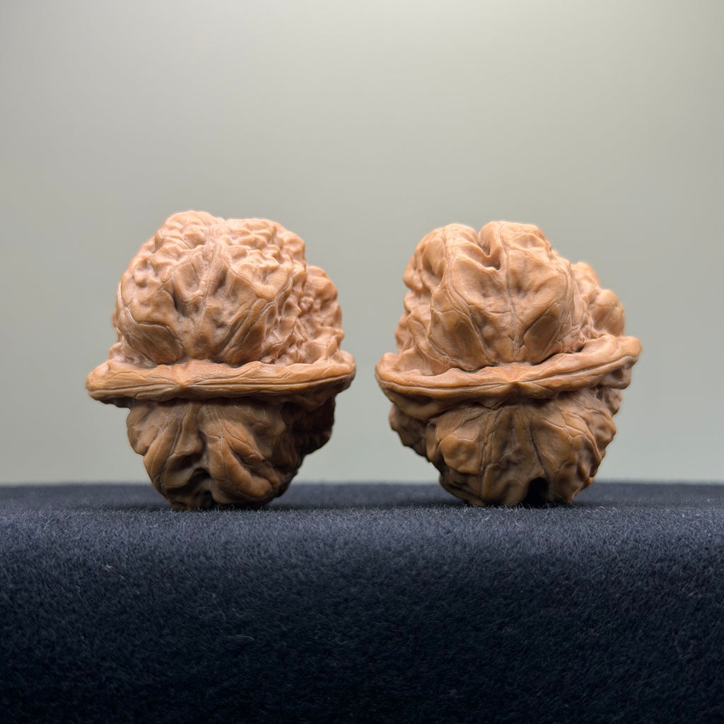 Toad Head Wenwan Walnut · 37mm · Premium Ritual
