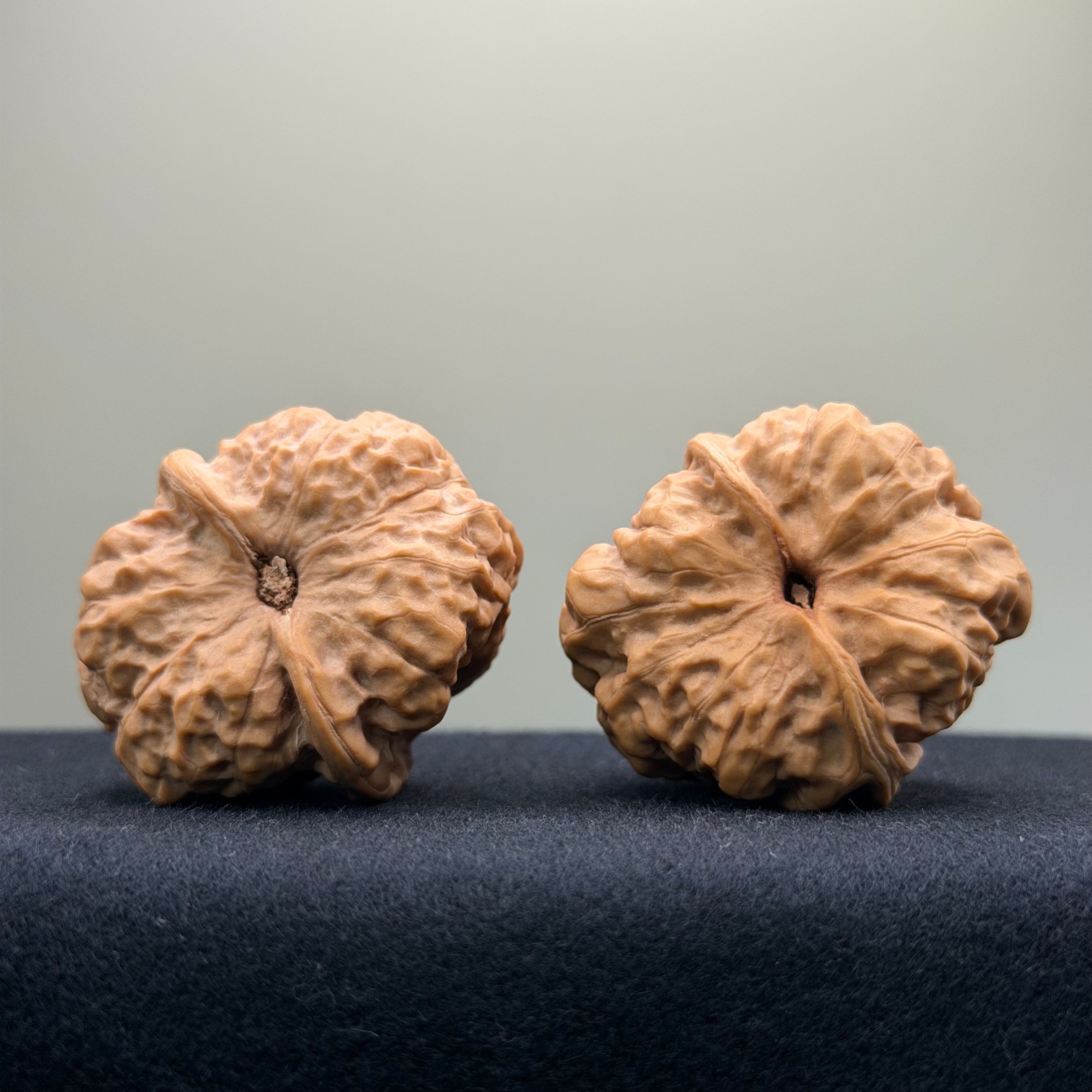 Toad Head Wenwan Walnut · 37mm · Premium Ritual