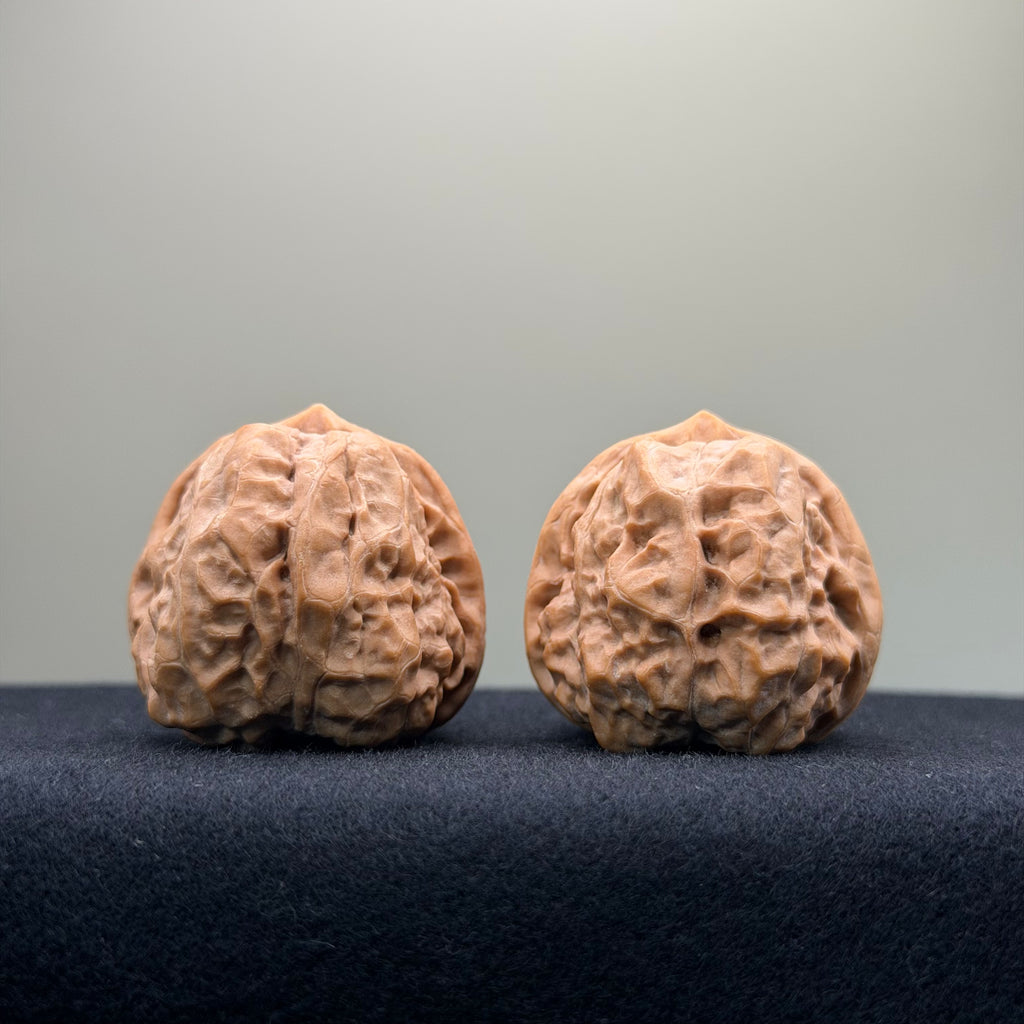 Toad Head Wenwan Walnut · 36mm · Premium Ritual