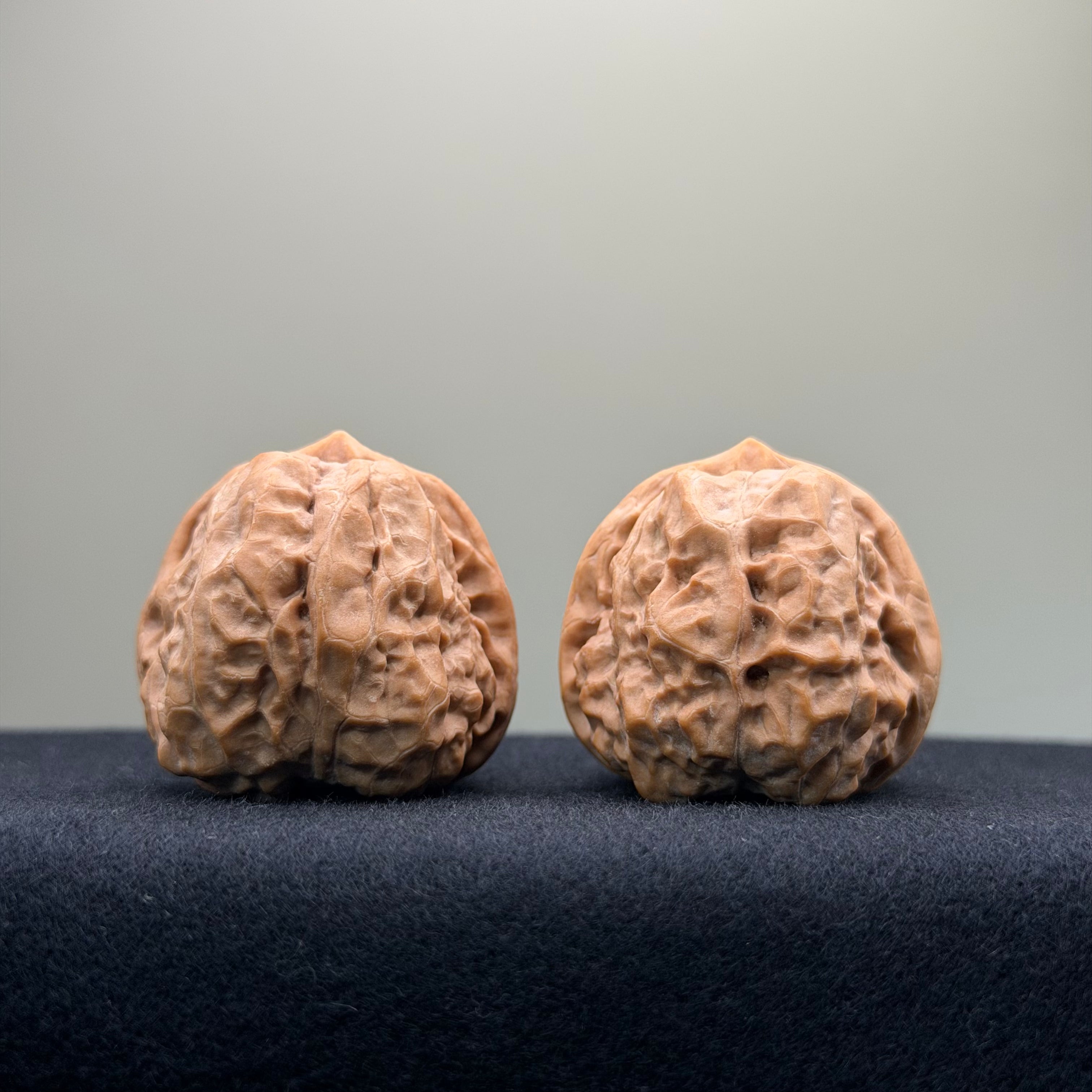 Toad Head Wenwan Walnut · 36mm · Premium Ritual