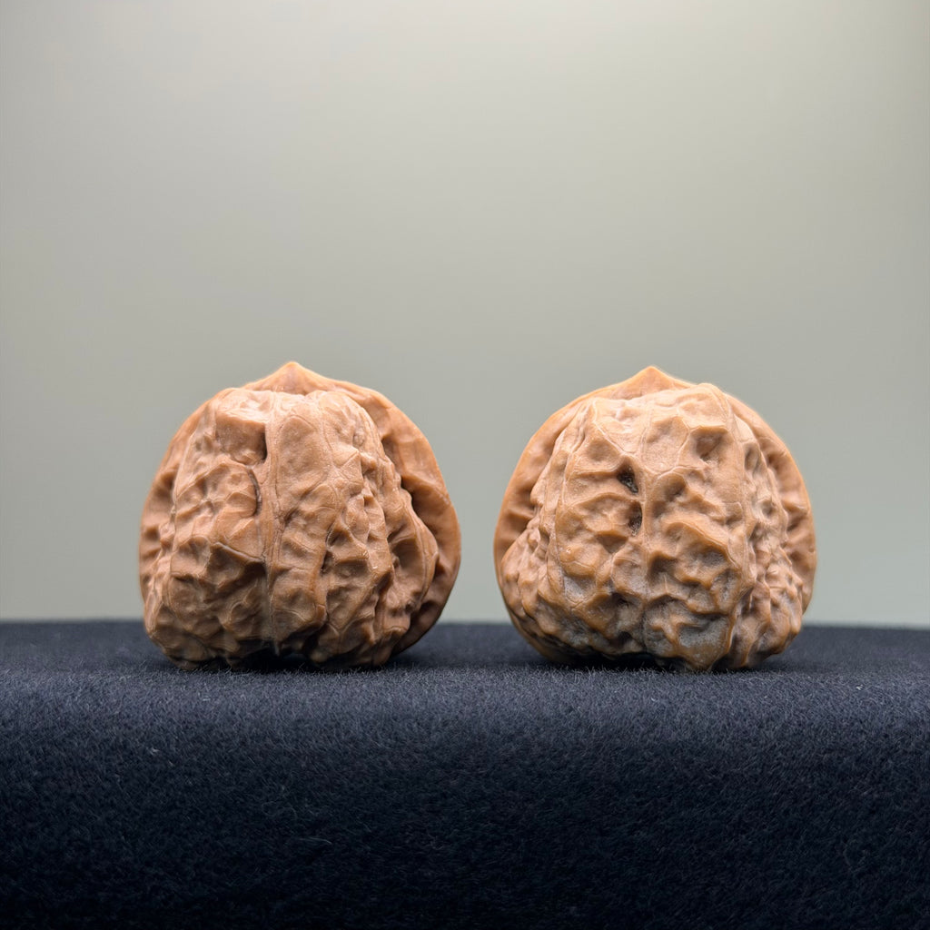 Toad Head Wenwan Walnut · 36mm · Premium Ritual