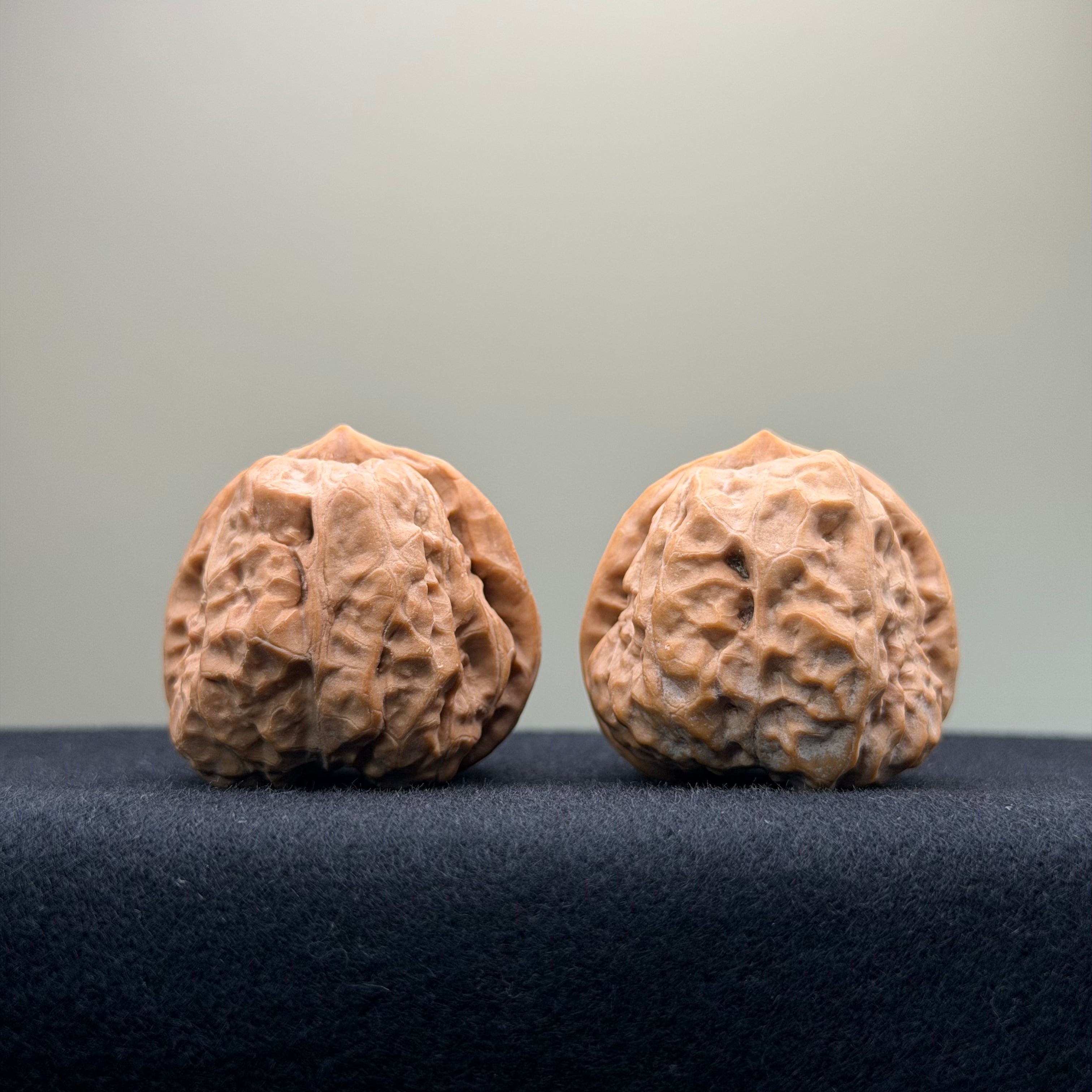 Toad Head Wenwan Walnut · 36mm · Premium Ritual
