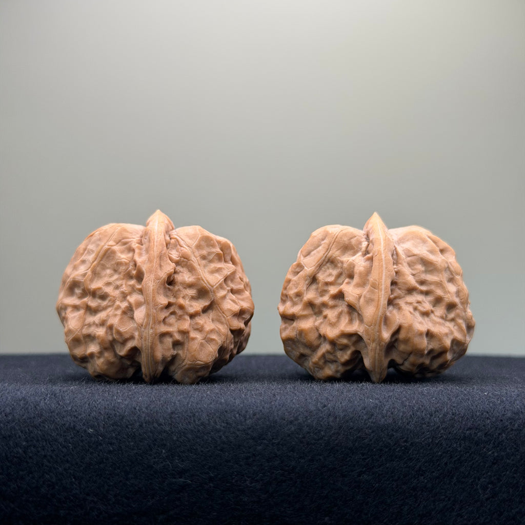 Toad Head Wenwan Walnut · 36mm · Premium Ritual