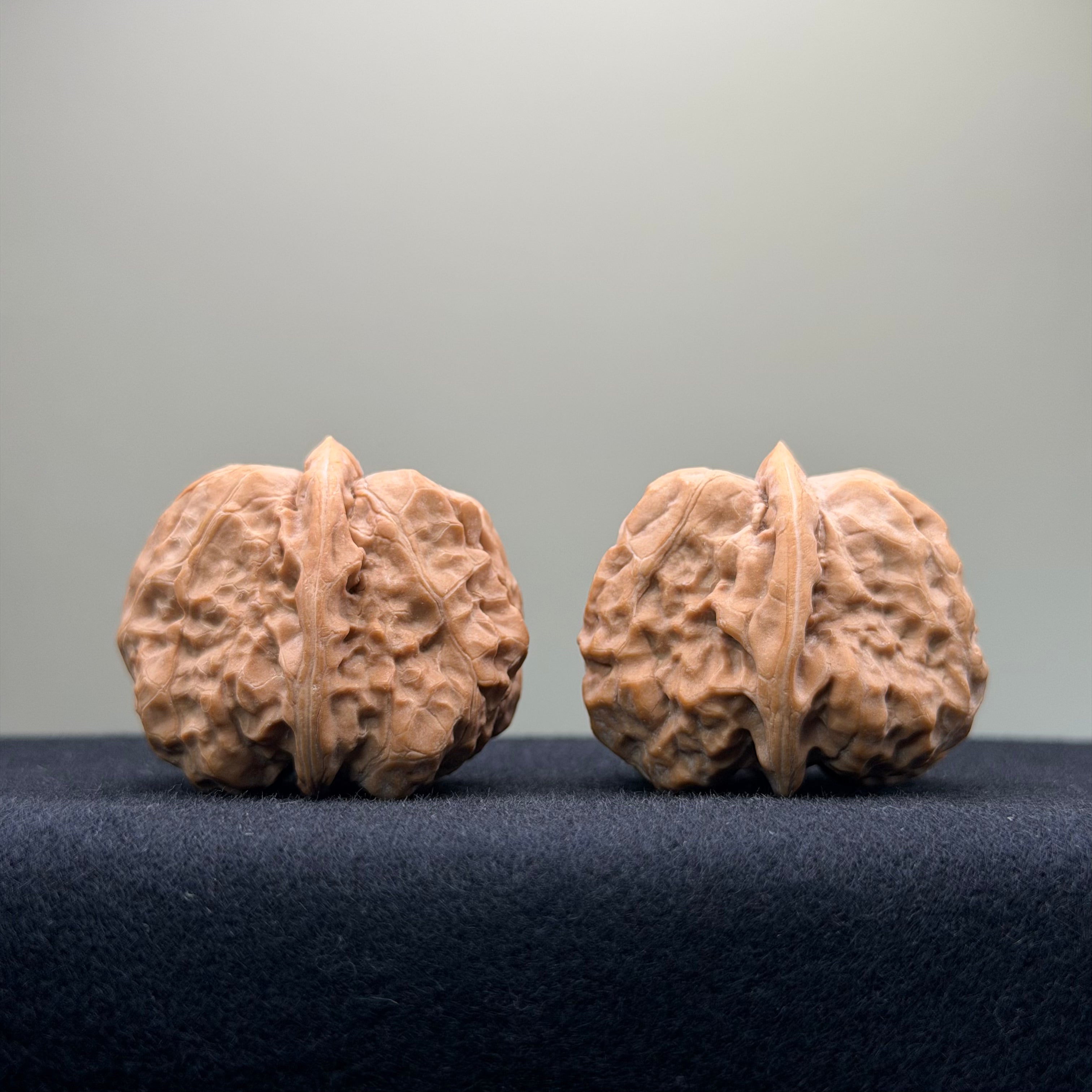 Toad Head Wenwan Walnut · 36mm · Premium Ritual