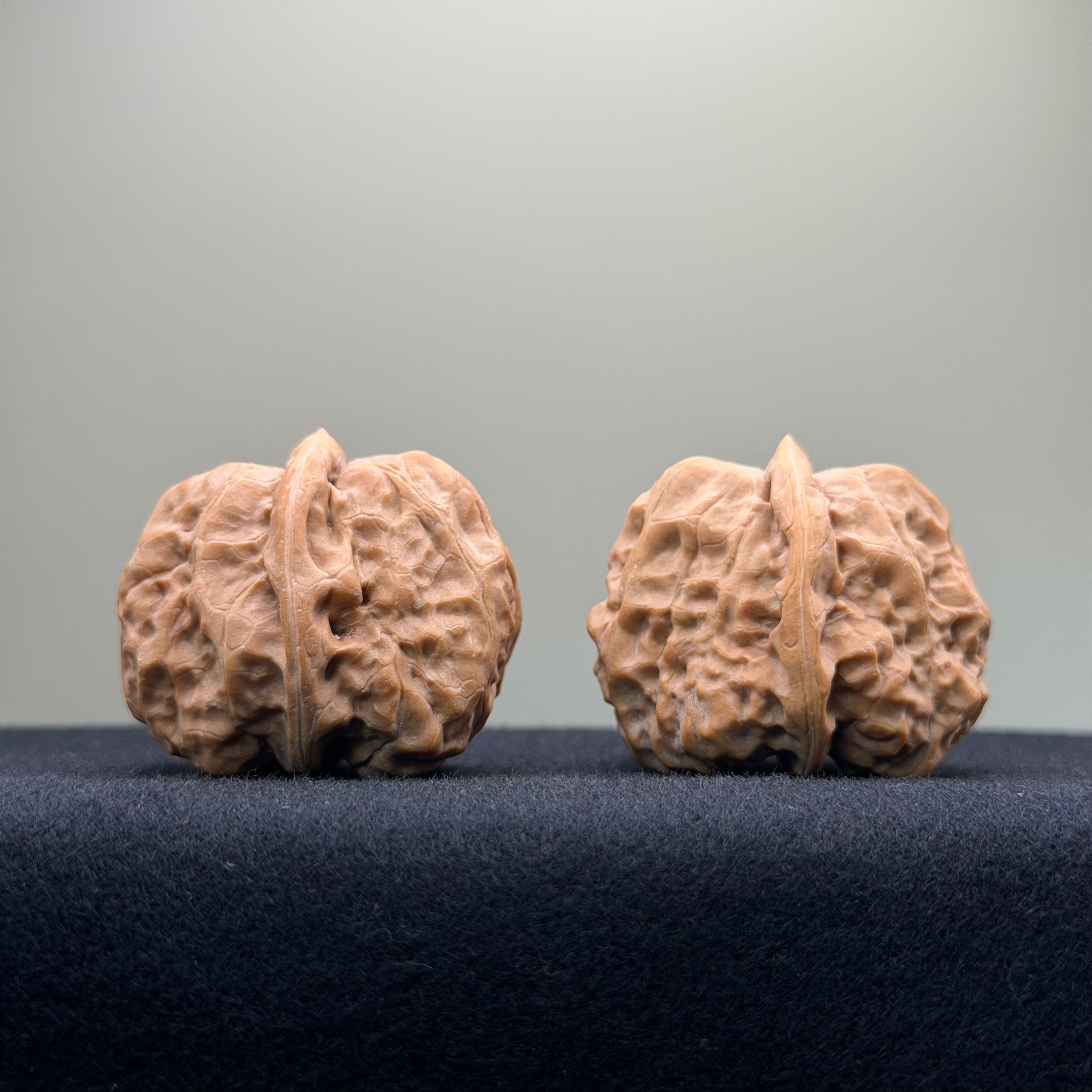 Toad Head Wenwan Walnut · 36mm · Premium Ritual