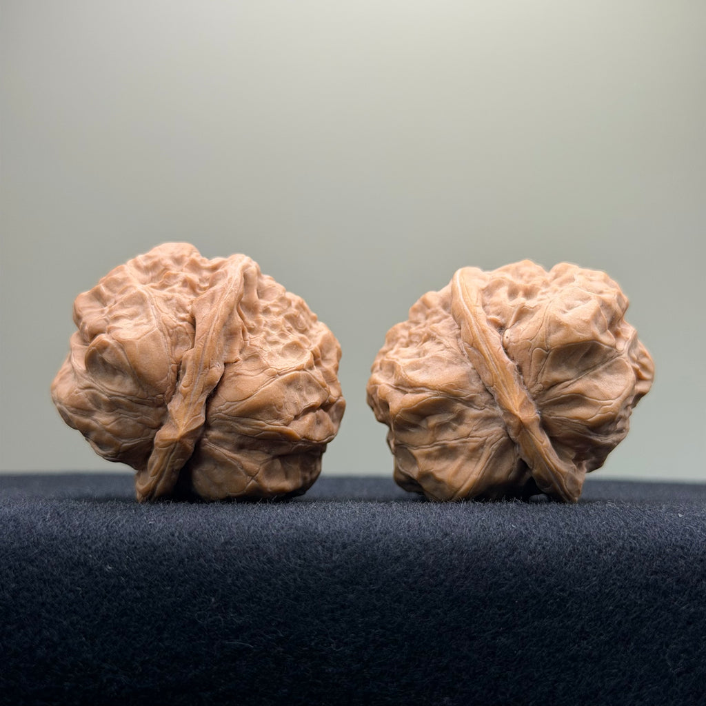 Toad Head Wenwan Walnut · 36mm · Premium Ritual