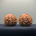 Eve Stone Wenwan Walnut · 39mm · Natural · Select Ritual