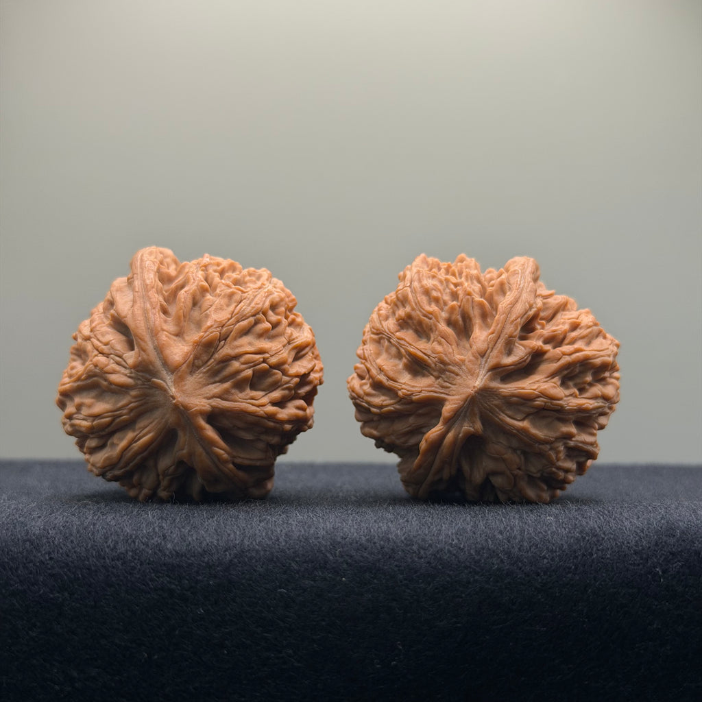 Eve Stone Wenwan Walnut · 39mm · Natural · Select Ritual