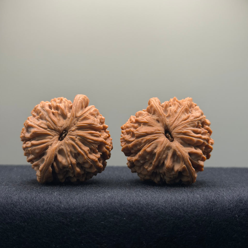 Eve Stone Wenwan Walnut · 39mm · Natural · Select Ritual