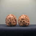 Cloud Cauldron Wenwan Walnut · 33mm · Natural · Select Ritual