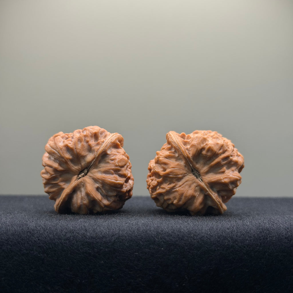 Cloud Cauldron Wenwan Walnut · 33mm · Natural · Select Ritual