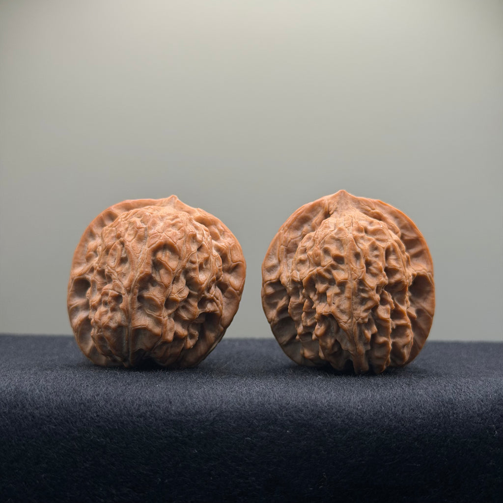 Double Dragon Ridge Wenwan Walnut · 38mm · Natural · Select Ritual