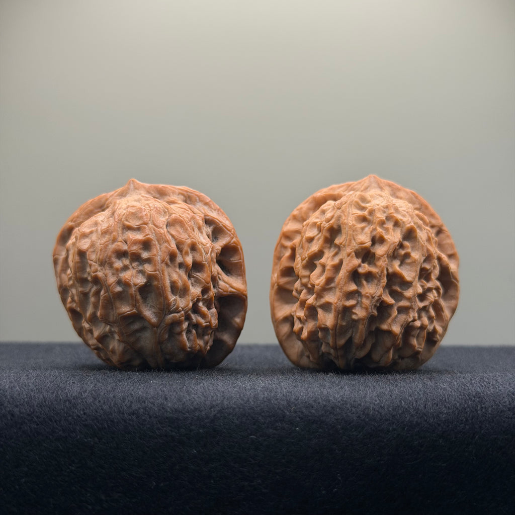 Double Dragon Ridge Wenwan Walnut · 38mm · Natural · Select Ritual