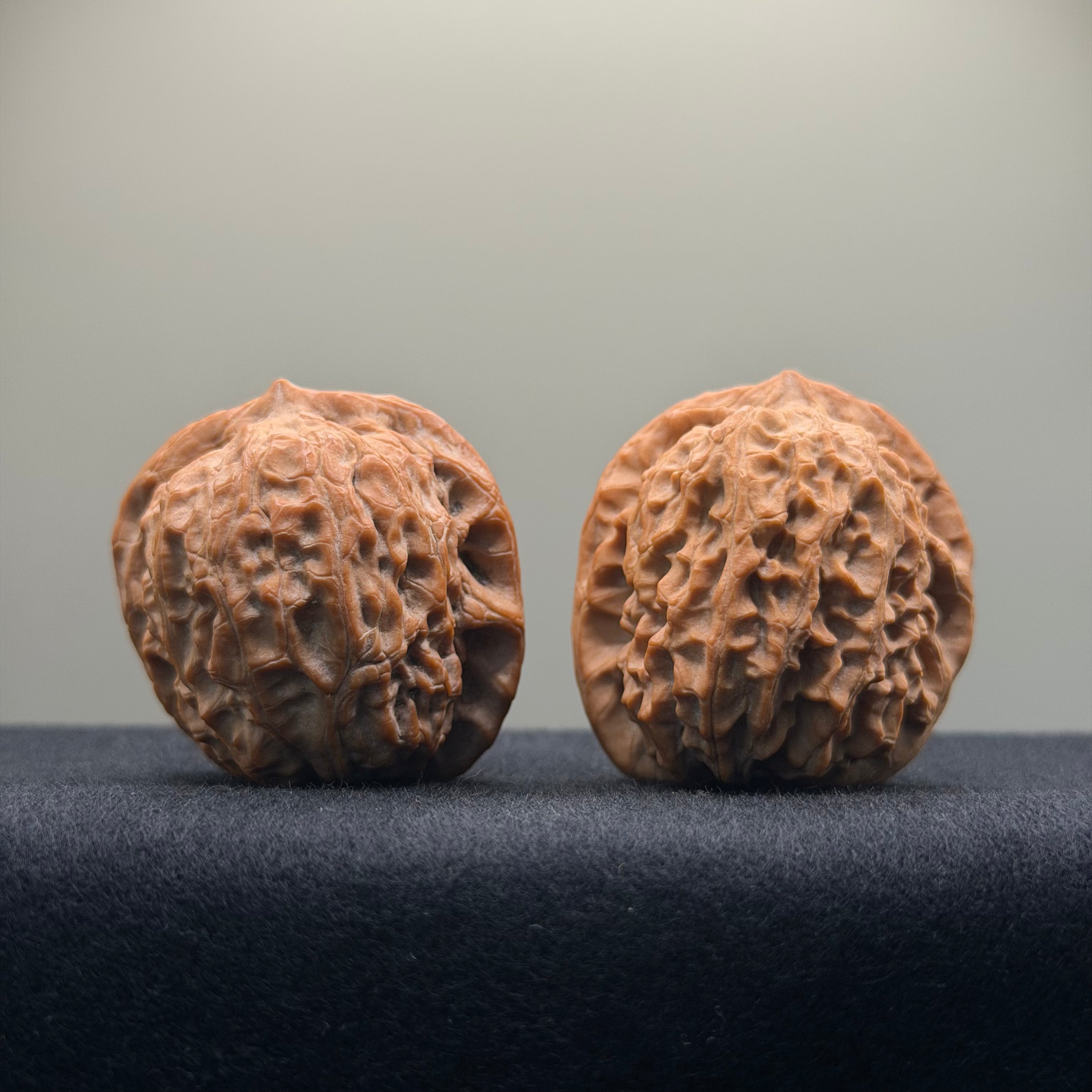 Double Dragon Ridge Wenwan Walnut · 38mm · Natural · Select Ritual