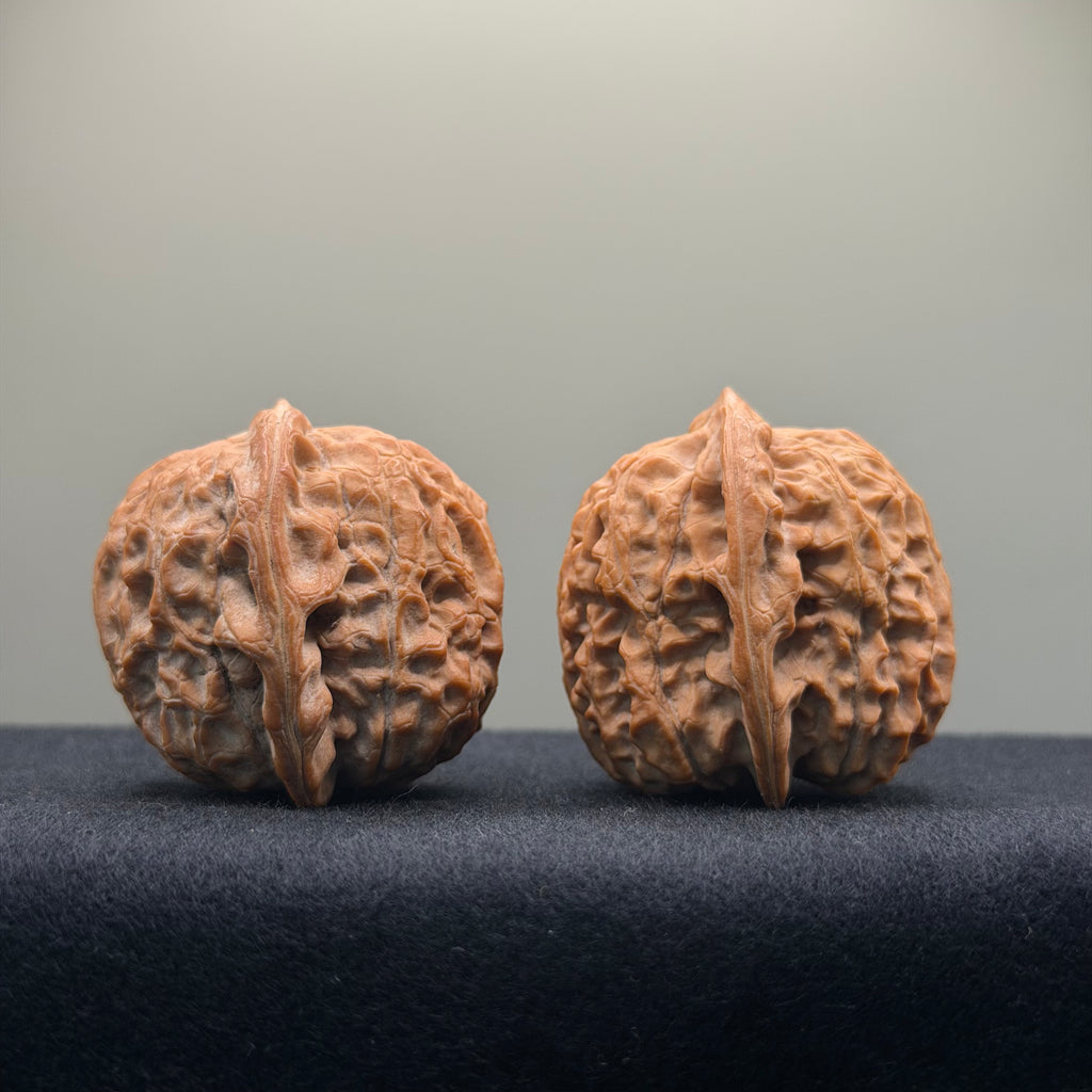 Double Dragon Ridge Wenwan Walnut · 38mm · Natural · Select Ritual