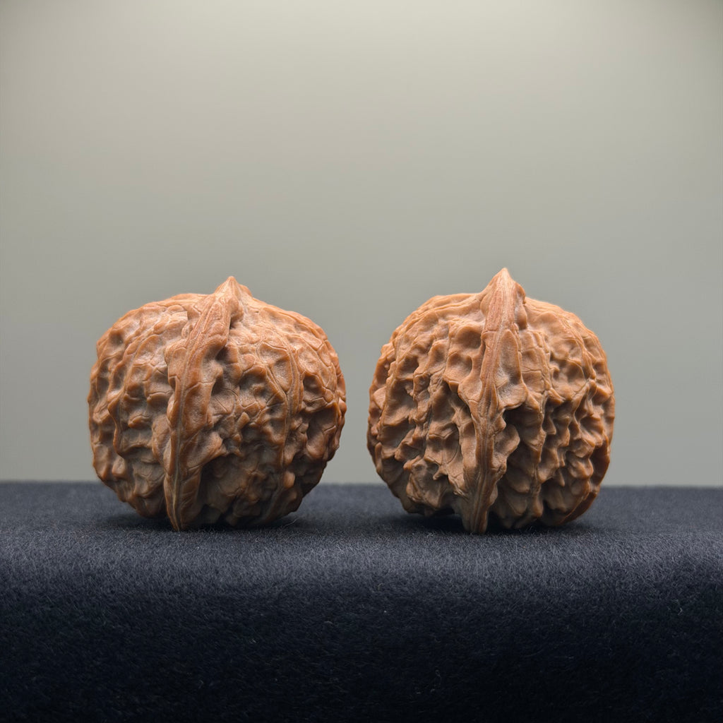 Double Dragon Ridge Wenwan Walnut · 38mm · Natural · Select Ritual