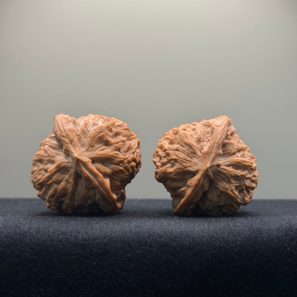 Double Dragon Ridge Wenwan Walnut · 38mm · Natural · Select Ritual