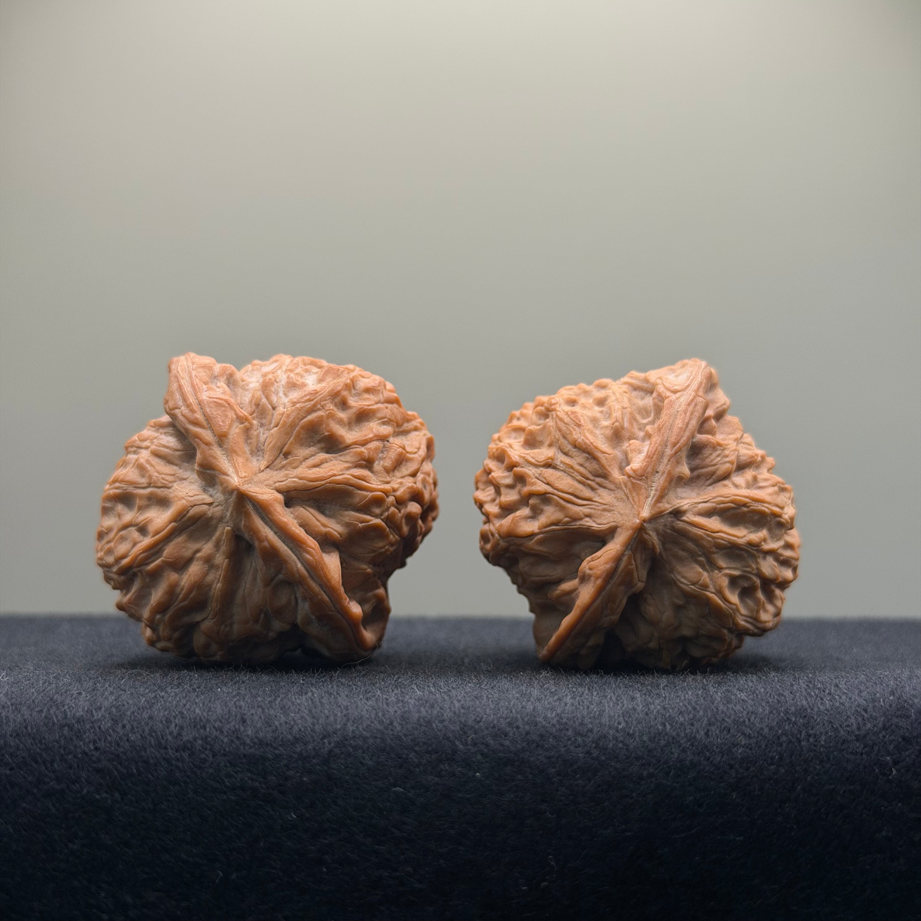 Double Dragon Ridge Wenwan Walnut · 38mm · Natural · Select Ritual