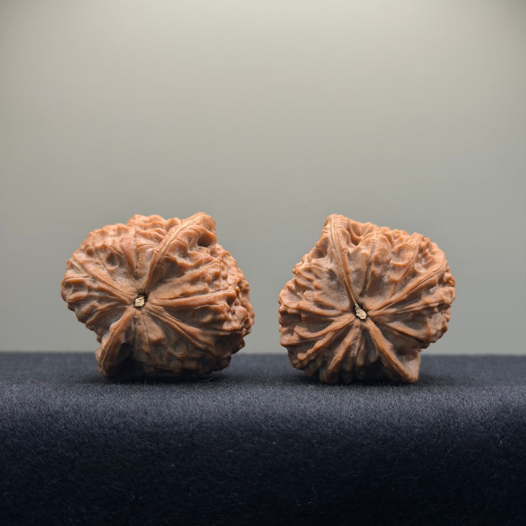 Double Dragon Ridge Wenwan Walnut · 38mm · Natural · Select Ritual
