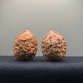 Golden Leopard Wenwan Walnut · 32mm · Natural · Select Ritual