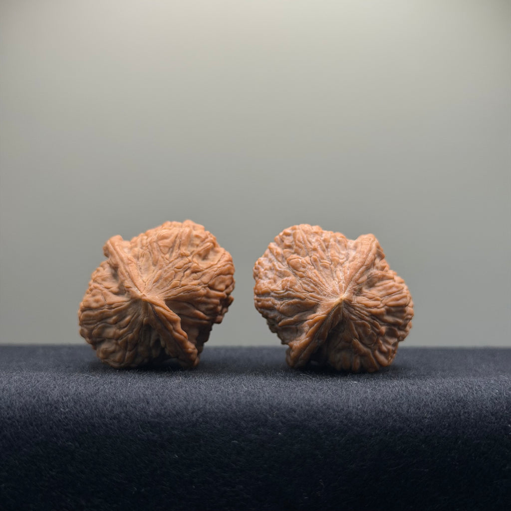 Golden Leopard Wenwan Walnut · 32mm · Natural · Select Ritual