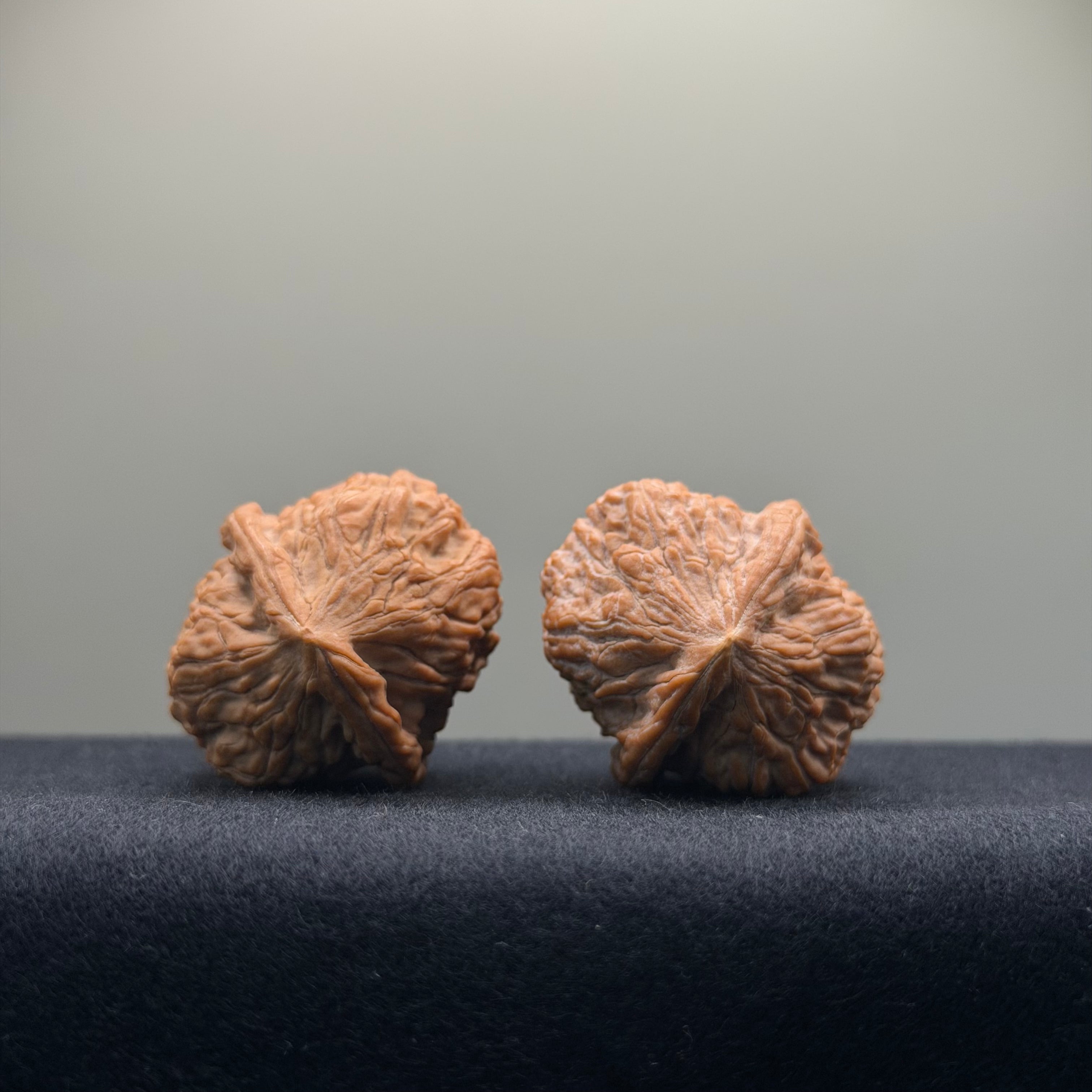 Golden Leopard Wenwan Walnut · 32mm · Natural · Select Ritual