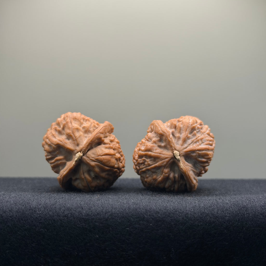 Golden Leopard Wenwan Walnut · 32mm · Natural · Select Ritual