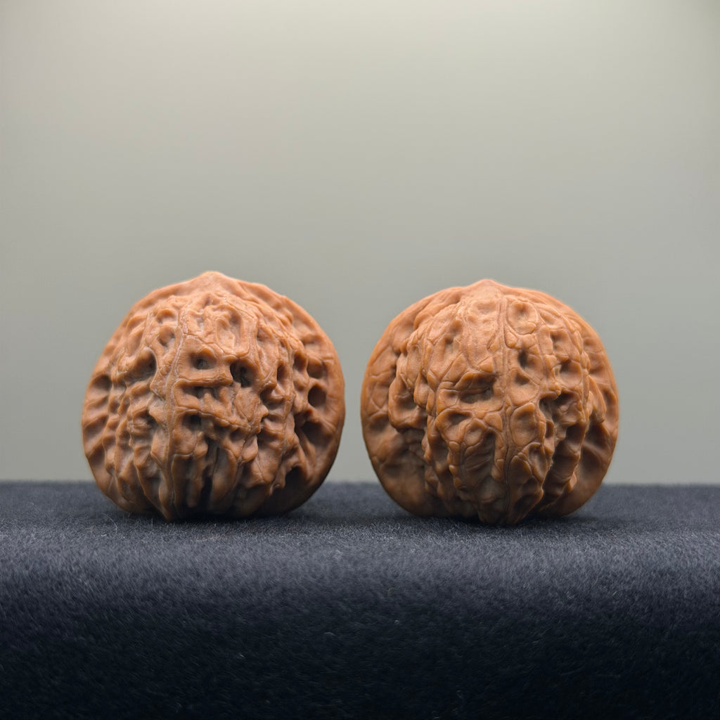 Golf Wenwan Walnut · 37mm · Natural · Entry Ritual