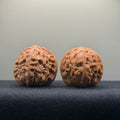 Golf Wenwan Walnut · 37mm · Natural · Entry Ritual
