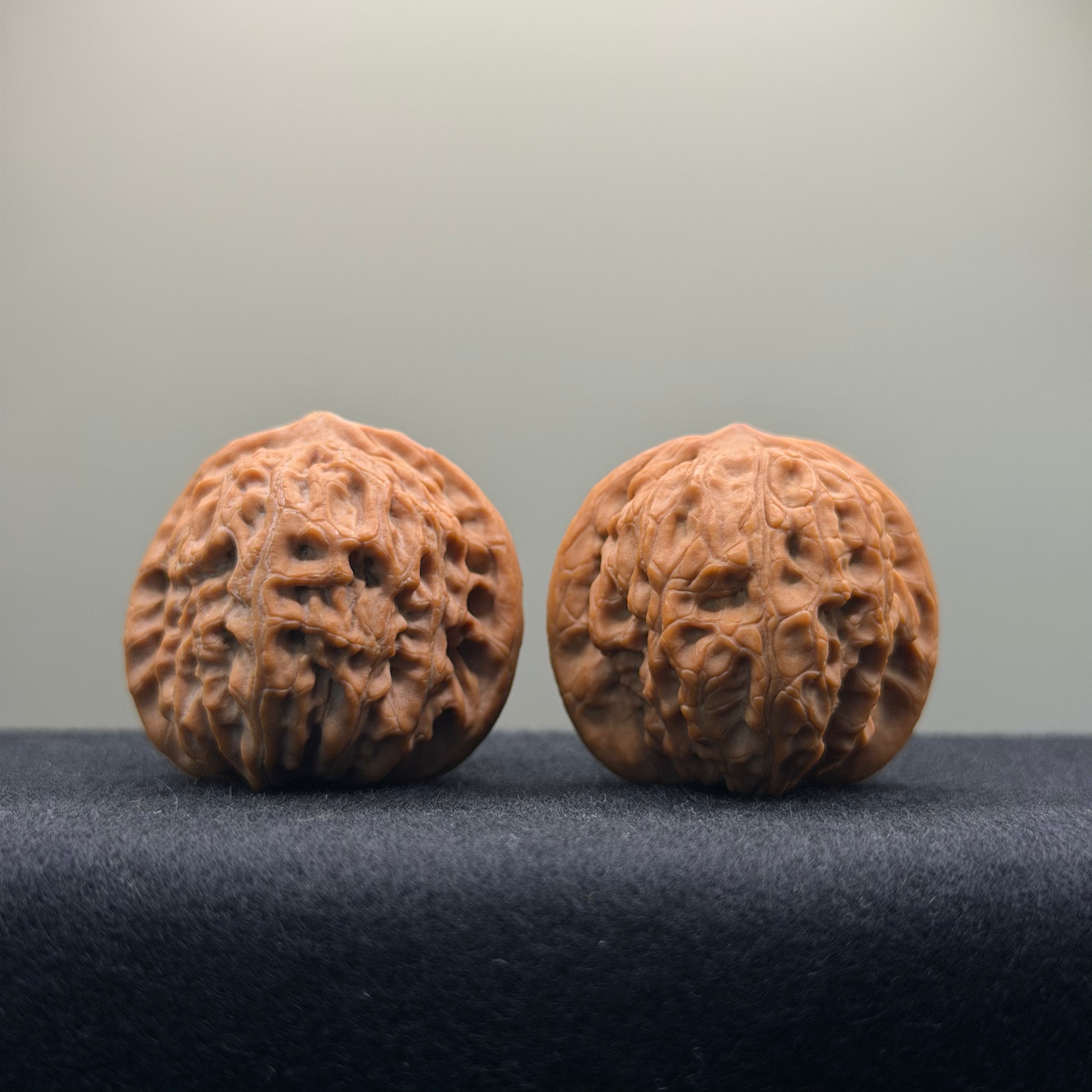 Golf Wenwan Walnut · 37mm · Natural · Entry Ritual