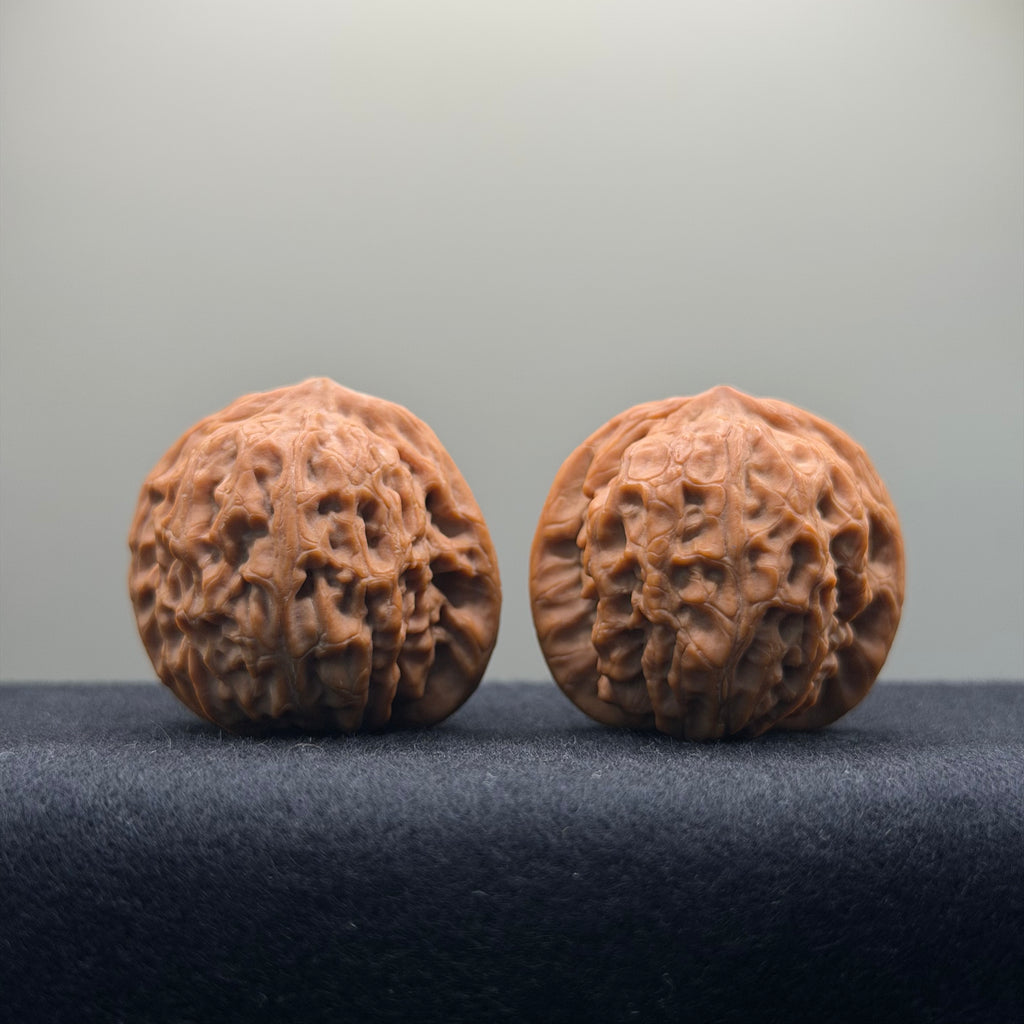 Golf Wenwan Walnut · 37mm · Natural · Entry Ritual